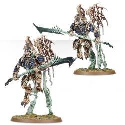 Ossiarch Bonereapers: Morghasts