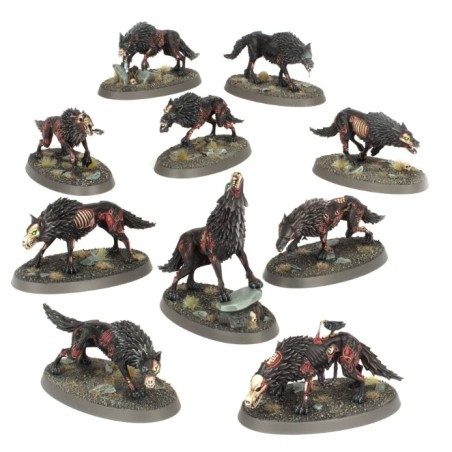 Soulblight Gravelords: Dire Wolves