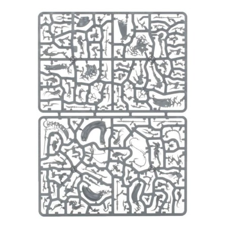 Daughters of Khaine: Rôdeurs de l'Ombre Khainites