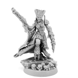 WE: Heresy Hunter Daemonette Inquisitor Contracted Mercenary