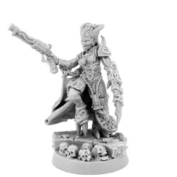 WE: Heresy Hunter Daemonette Inquisitor Contracted Mercenary