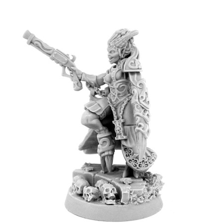 WE: Heresy Hunter Daemonette Inquisitor Contracted Mercenary