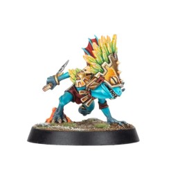 Bloodbowl Fw: Dribl & Drull