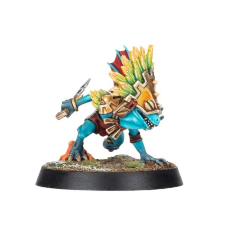 Bloodbowl Fw: Dribl & Drull