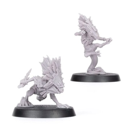 Bloodbowl Fw: Dribl & Drull