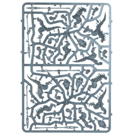 Seraphon: Guerriers Saurus (Unpack)