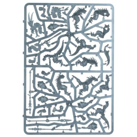 Seraphon: Guerriers Saurus (Unpack)