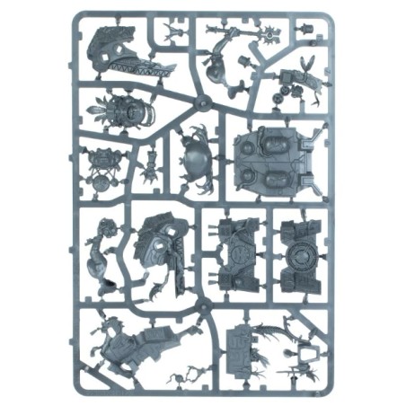 Seraphon: Astrocrate (Unpack)