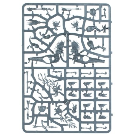 Seraphon: Chasseurs Raptadons (Unpack)