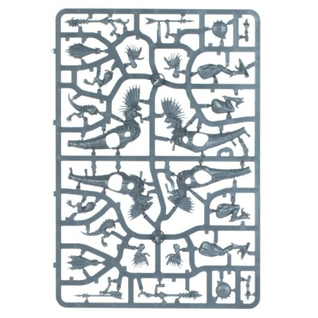 Seraphon: Chasseurs Raptadons (Unpack)