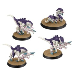 Set de Peinture: Termagants Tyranids