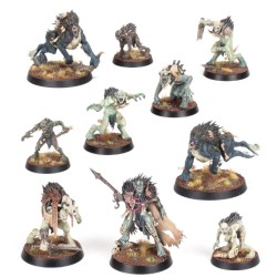 Warcry: Dépeceur Royaux