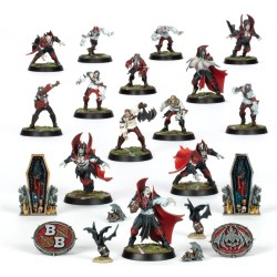 Bloodbowl: Count Vampire Team
