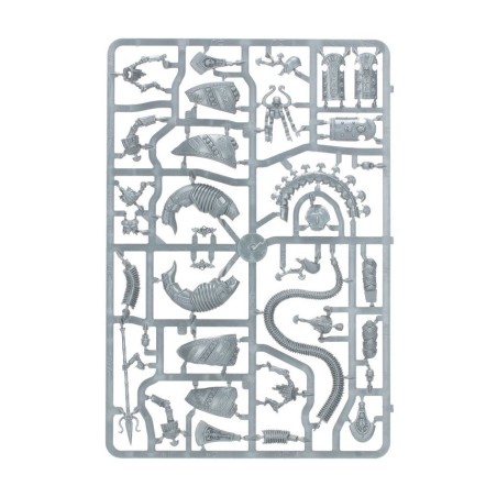 The Old World Khemri: Traqueurs Sépulcraux