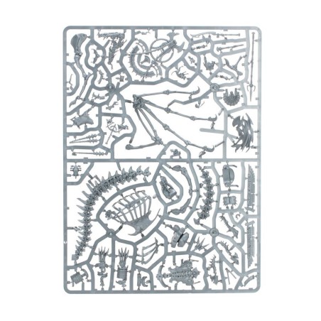 The Old World Khemri: Set d'Armée Roi des Tombes de Khemri