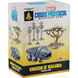 Marvel:  Décor Kingdom of Wakanda