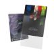 Sleeves: 100 Pochettes Cortex Matte Taille Standard Clear