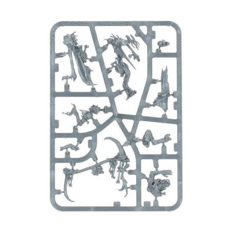 Flesh-Eater Courts: Héraut des Parchemoelles