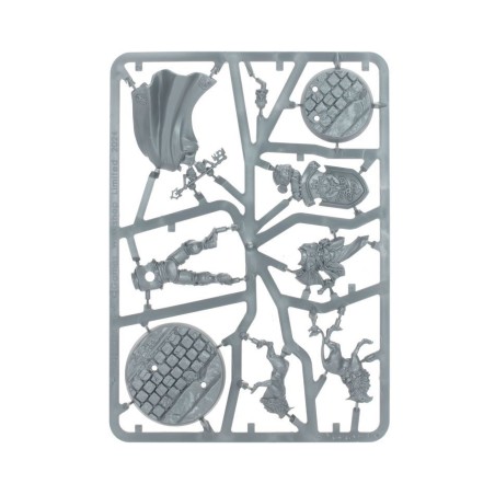 Stormcast Eternals: Callis and Toll, Sauveurs de Fraisil Tombant