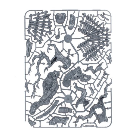 Dominion of Sigmar: Enduring stormvault