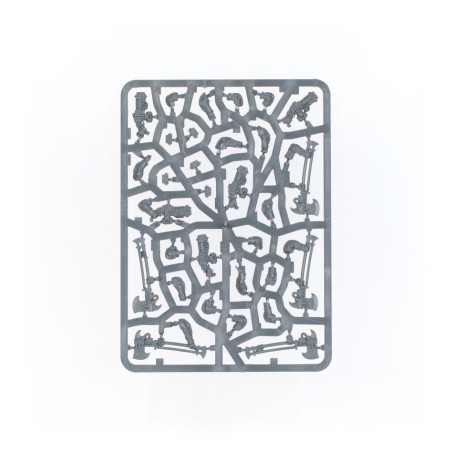 The Horus Heresy: Solar Auxilia Veletaris Storm Section