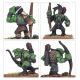 The Old World: Orcs Bataillon