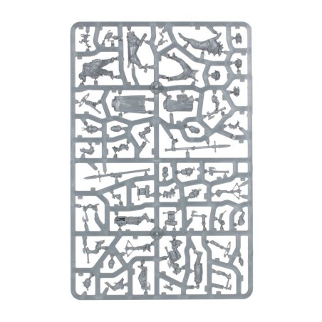 Warcry: Chasseurs du Corps d'Eclaireurs