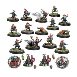 BloodBowl: Gnomes Teams