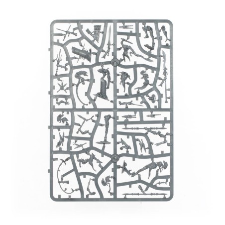 Warcry: Flammes et Flots