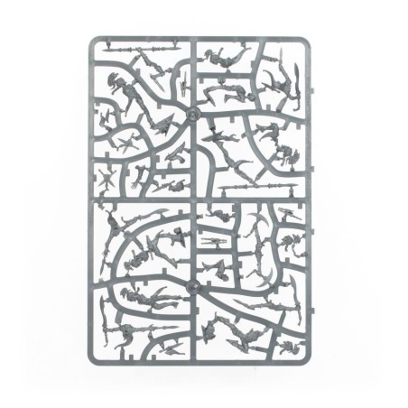 Warcry: Flammes et Flots