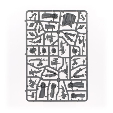 Adeptus Custodes: Patrouille (Ancien)