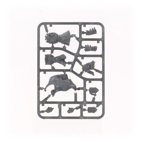 Adeptus Custodes: Patrouille (Ancien)