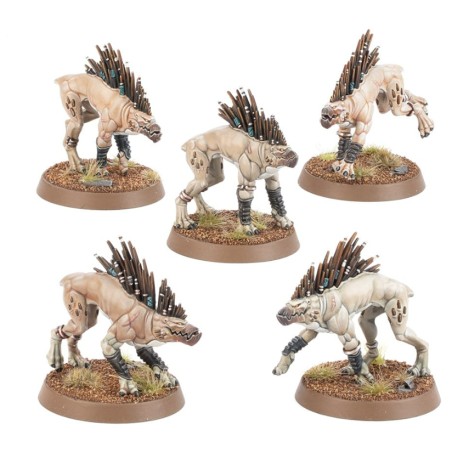 T'au Empire: Chiens Kroots