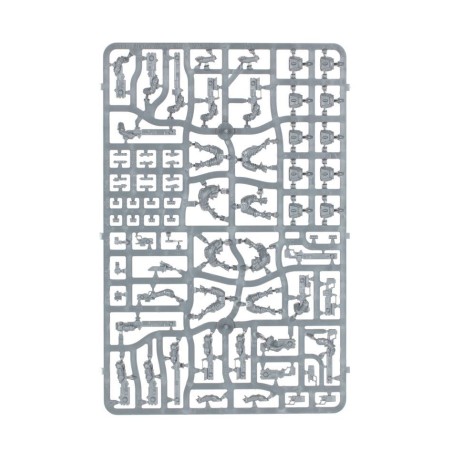 T'au Empire: Patrouille