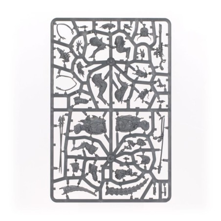 T'au Empire: Solilance Kroot