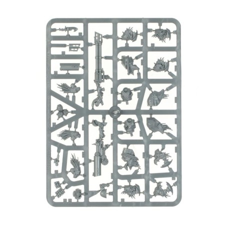 T'au Empire: Cavalier Krootox