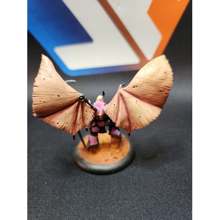 Occasion: a faire (ne pas supprimer)