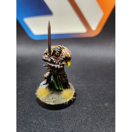 Occasion: a faire (ne pas supprimer)