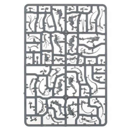 Adepta Sororitas: Patrouille