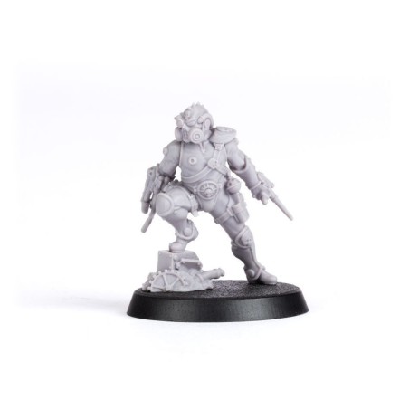 Solar Auxilia Fw: Clade Venenum Assassin