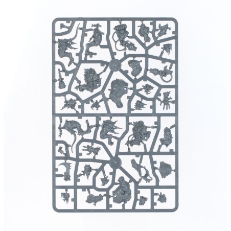 Age of Sigmar: Set d'Initiation