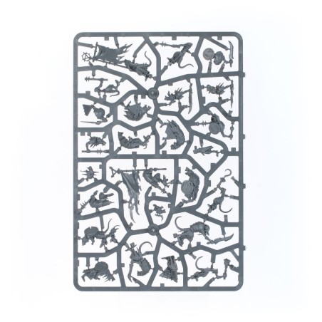 Age of Sigmar: Set d'Initiation Ultime