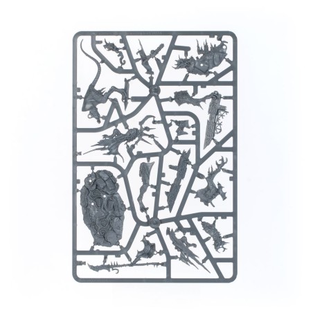 Age of Sigmar: Set d'Initiation Ultime