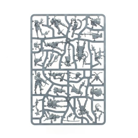 Kill Team: Corstellaires d'Elucia