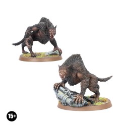 Lord of The Rings Fw: Werewolves of Angmar