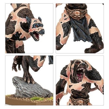 The Old World Guerriers du Chaos: Loups Ecorcheurs
