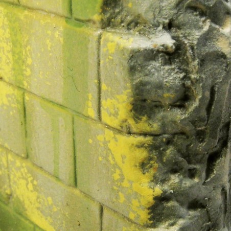 Weathering: Effet d'Environnement Moisissure et Lichen