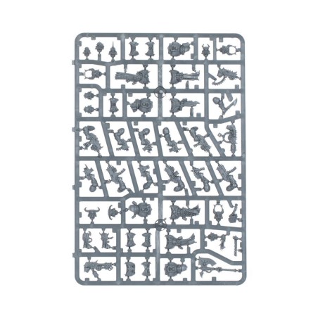 Kill Team: Griffe Némésis