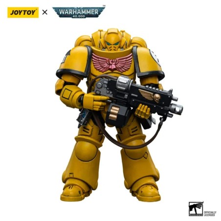 Action Figure: Imperial Fists Intercessors