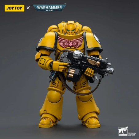Action Figure: Imperial Fists Intercessors